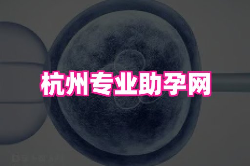 东莞助孕网站 4